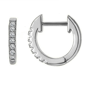 Classic Silver Hoop Earrings 925 for Women 14k D Real Moissanite Small Hoops