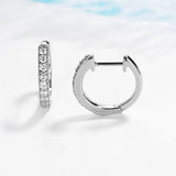 Classic Silver Hoop Earrings 925 for Women 14k D Real Moissanite Small Hoops