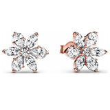 925 Sterling Silver Pearl Star Earrings, Gingko Leaf Snowflake Charm Jewelry