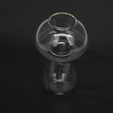 Clear Glass Vase Bottle for Flower Decor - Mushroom