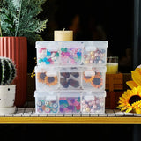 Clear Plastic Storage Cases Small Beads Organizer Container Transparent Boxes