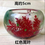 Clear Silicone Fish Tank Mold For Epoxy Resin Jewelry Making Crafts