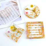 Coaster Mold Set Epoxy Resin Holder Silicone Mold Storage