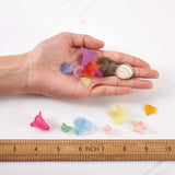 Colorful Acrylic Beads Flower Leaf Frosted Transparent Mixed for Jewelry Making