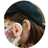 Colorful Silicone Ear Nose Model with Clear Board