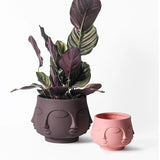 Silicone Flower Pot Mold Face Succulent Cement Plaster Mould