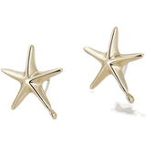 Marine Starfish Earrings 14k Copper-Plated Silver Needle DIY Jewelry
