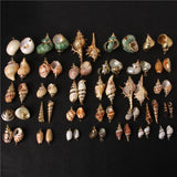 Cowrie Sea Shells Charms Spiral Conch Pendant for Jewelry Making