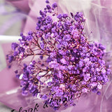 Mini Baby's Breath Valentine's Dried Flowers Bouquet