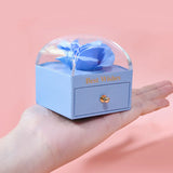 Macaron Single Layer Jewelry Box Organizer