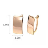Metal Geometry Rectangular Glossy Earrings for Women Engagement Jewelry
