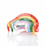 Rainbow Acetate Claw Clip Hair Accessories for Women