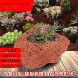 Succulent Pot Potted Bonsai Hanging Pot Volcanic Stone