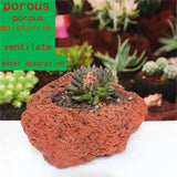 Succulent Pot Potted Bonsai Hanging Pot Volcanic Stone