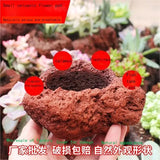 Succulent Pot Potted Bonsai Hanging Pot Volcanic Stone