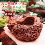 Succulent Pot Potted Bonsai Hanging Pot Volcanic Stone