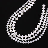 Natural Freshwater Shell Beads Loose Beads DIY Jewelry Making