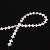 Natural Freshwater Shell Beads Loose Beads DIY Jewelry Making