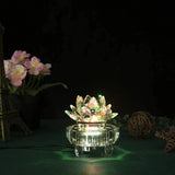 Multicolor LED Light Base Display Plate