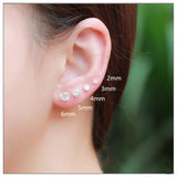 Crystal Zircon 925 Silver Stud Earrings Women's Jewelry