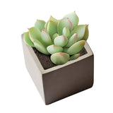Cube Concrete Silicone Mold Planter Flower Pot Cement Vase Mould Craft