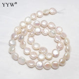 Freshwater Pearl Beads Flat Round Natural 8-9mm 15.3 Inch Strand