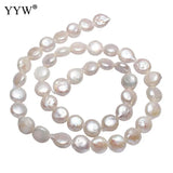 Freshwater Pearl Beads Flat Round Natural 8-9mm 15.3 Inch Strand