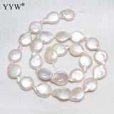 Cultured Coin Freshwater Pearl Beads Flat Round 13-14mm