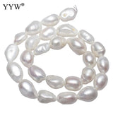 Potato Freshwater Pearl Beads 11-12mm 15 Inch Strand