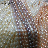 Cultured Rice Freshwater Pearl Beads 2-9mm Strand Diy Jewelry Making
