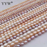 Cultured Rice Freshwater Pearl Beads 2-9mm Strand Diy Jewelry Making
