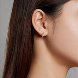Curved Earrings 100% s925 Sterling Silver Platinum-Plated Zircon Ladies Earrings
