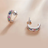 Curved Earrings 100% s925 Sterling Silver Platinum-Plated Zircon Ladies Earrings