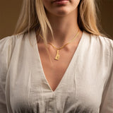img_908208