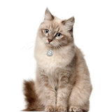 Engraved Personalized Metal Pet Tag