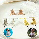 Custom Pet Photo Earrings - Personalized Pet Portrait Gift