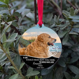 Personalized Pet Photo Dog Memory Christmas Ornaments