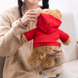 Teddy Bear Hug Plush Toy Birthday Gift Dress Up Bear Doll Bear Doll Girlfri