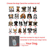 Dog Name Image Box Keychain Fashionable Appearance Creative Convenient Carrying