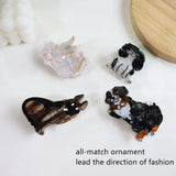 Funny Animal Hair Claw Clips - Shark Clip Jewelry Hair Accessorie