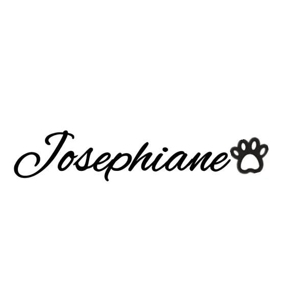 Heart Name Bracelet ID Stainless Steel Personalized Women