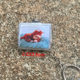 Mini Photo Album Keychain, Memory Gift