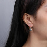 Zircon Inlaid 925 Silver Fish Earrings for Women