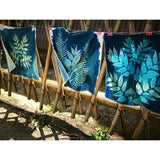 Cyanotype Set Potassium Ferricyanide Cyanotype Printing DIY Kit