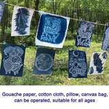 Cyanotype Set Potassium Ferricyanide Cyanotype Printing DIY Kit