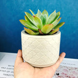 Cylindrical Flower Pot Silicone Mould DIY Cement Flower Pot Epoxy Resin Mould