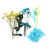 Dried Flowers Dry Plants Aromatherapy Candle UV Resin Filling