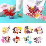 Dried Flowers Dry Plants Aromatherapy Candle UV Resin Filling
