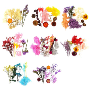 Dried Flowers Dry Plants Aromatherapy Candle UV Resin Filling