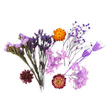 Dried Flowers Dry Plants Aromatherapy Candle UV Resin Filling